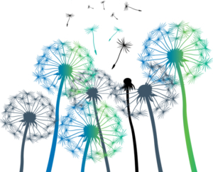 mental health self help leaflets