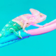 blue and pink chameleon