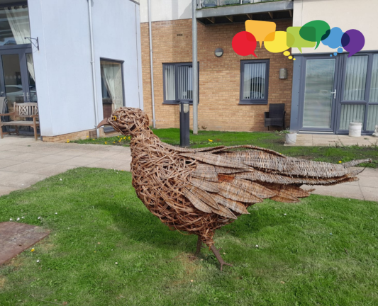 Alnwick Here to Hear drop-in