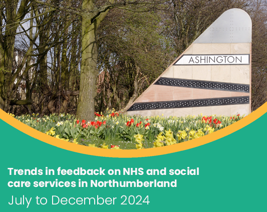 Trends in feedback July to December 2024