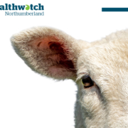 Delivering in Tynedale!