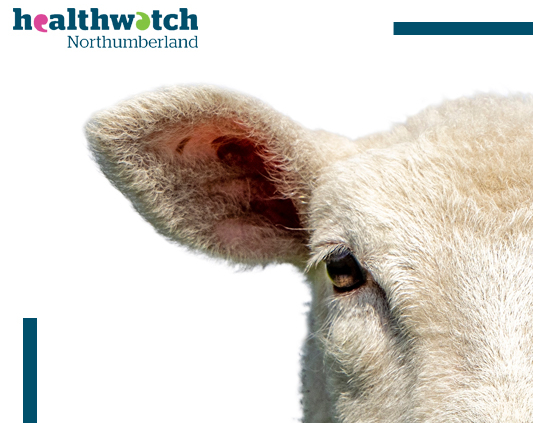 Delivering in Tynedale!